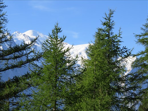 View from accommodation outside on street