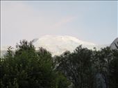 Dinner views: by jugap, Views[419]