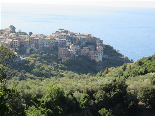Looking back to Corniglia at start of walk northwards along coast