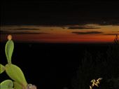 Corniglia - sunset - cactus flower in foreground: by jugap, Views[340]