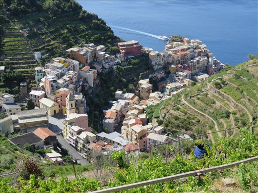 Manarola - from above