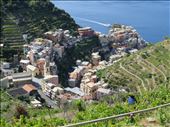 Manarola - from above: by jugap, Views[209]