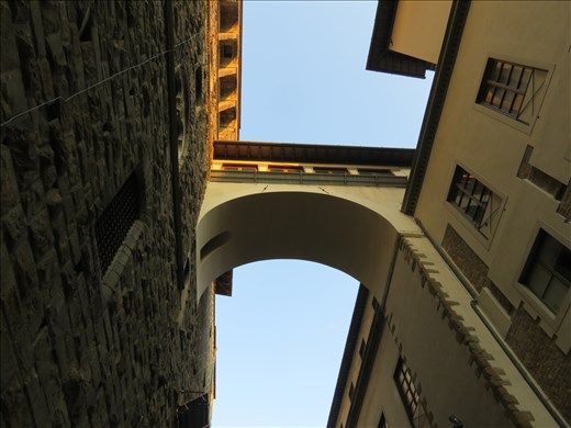Florence - streetscape - looking up