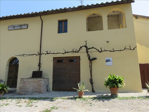Winery - very old vine on outside