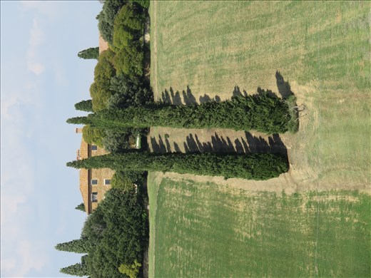 Nearby the winery - Russell Crowe shot a scene from Gladiator here