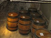 Montepulciano - wine cellar - on way to tasting session: by jugap, Views[285]