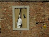 Siena - art on building wall: by jugap, Views[297]