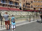 Siena - Fountain at Il Campo: by jugap, Views[299]