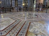 Siena - part of inside ceiling in Duomo: by jugap, Views[286]