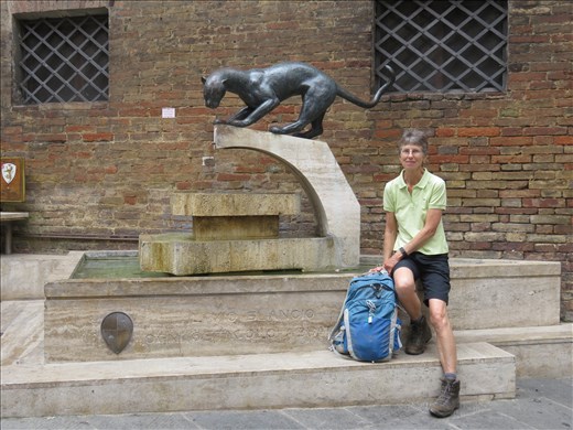 Siena - modern fountain