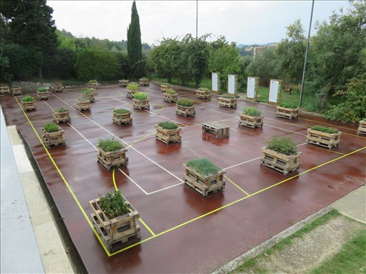 Siena - garden cum playing court - pallet garden beds