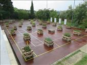 Siena - garden cum playing court - pallet garden beds: by jugap, Views[203]