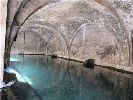 Siena - roman fountain/bath