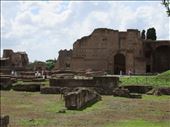 Rome - Palatine Hill: by jugap, Views[304]