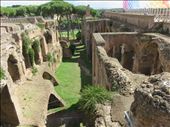 Rome - Palatine Hill: by jugap, Views[228]