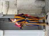 Rome - Swiss guard outside St Peter's Basilica: by jugap, Views[242]