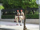 Athens - Evzones starting to step out .Wood and metal shoes - heavy: by jugap, Views[187]