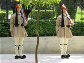 Athens - Evzones guarding presidental house: by jugap, Views[257]