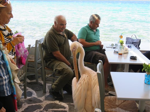 Mykonos - coffee guest