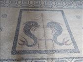 Rhodes - mosaics on floor - Palace of Grand Master: by jugap, Views[223]