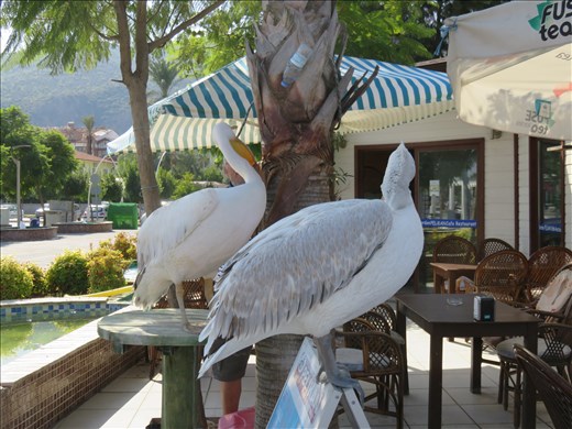 Turkey - Fethiye - guests at cafe on the bayside promenade