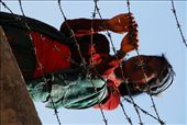 hindu woman seclusion  : by jugglenauts, Views[284]