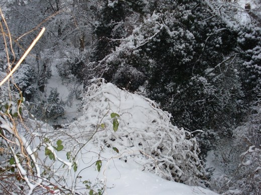 Looking down into this place I notice another gate.  Looking from this perspective I can see even more the intimacy of this place and again, I wonder how I can be there.  This place is Churchill Gardens.