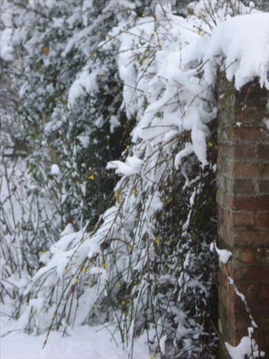 As I think upon these wonders, it's safe to say to expect the unexpected!