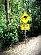 by juliabedi, Views[268]