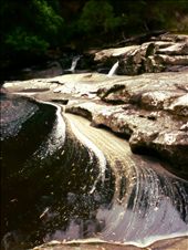 by juliabedi, Views[245]