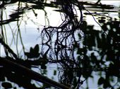 Cambodia : by juliamierzwa, Views[188]