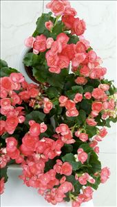 by julikramer, Views[194]