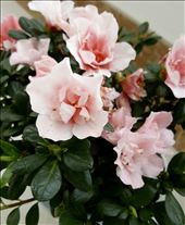 by julikramer, Views[232]