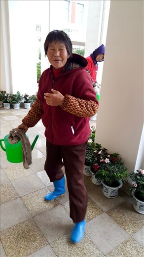 The ayis busy caring for the flowers