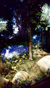 by julikramer, Views[137]