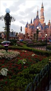 by julikramer, Views[108]