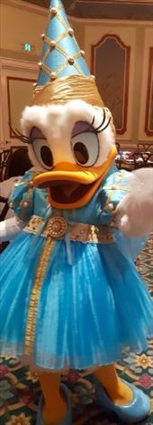 by julikramer, Views[123]