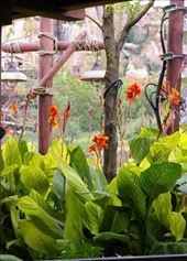 by julikramer, Views[164]