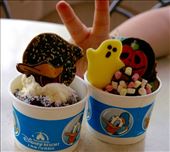 by julikramer, Views[207]