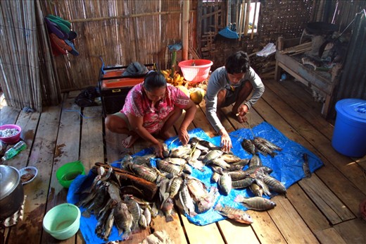 Fisherman and his wife split the fish then sell it into the market