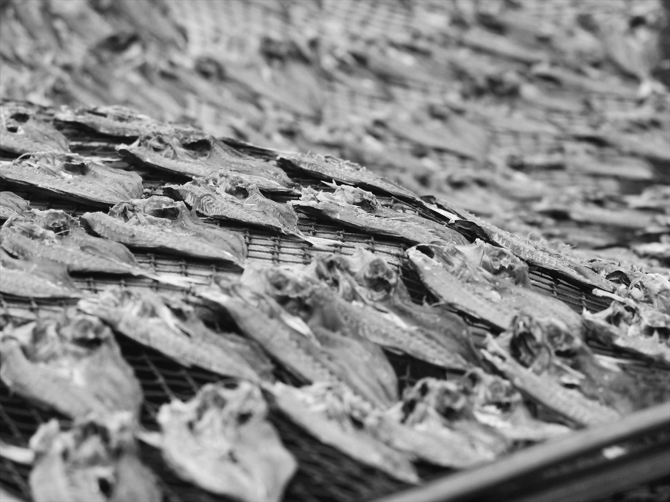 the fish catch are often sold to the market or salted dried to be sold to the groceries.