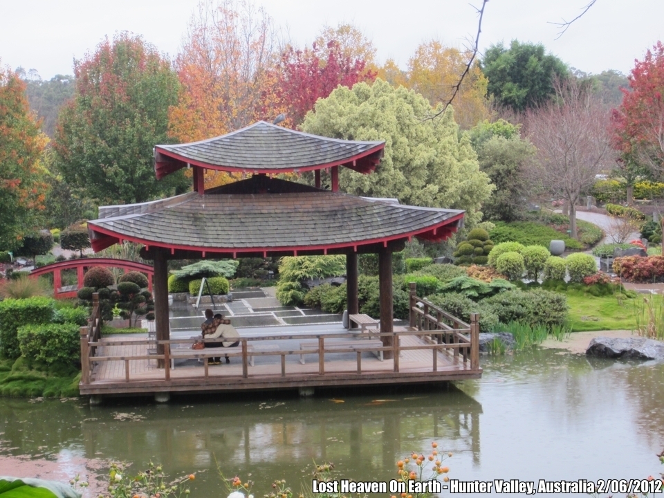 This is not a card postal, here is Huntervalley, just look at the colour of the trees, you have to see it to beleive it, no comment.
