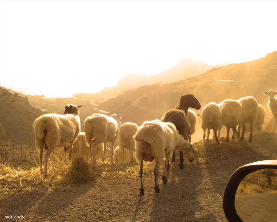 Sunset on the edge of the highway around Schinaria in the south of Crete