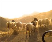 Sunset on the edge of the highway around Schinaria in the south of Crete: by jurnal, Views[642]