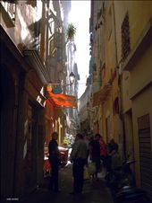 Walking in the afternoon on a typical intricate narrow street of Nice : by jurnal, Views[401]