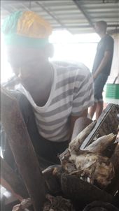 Babalao keeps a number of Santo tools and animal skulls in front of his doorstep, not only are they protected by the Yoruba Dieties, they are rusty metal. : by justice512, Views[316]