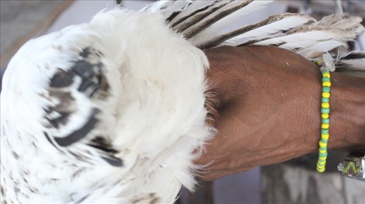 Babalao, The High Priest,  prepares the Sacrifice.