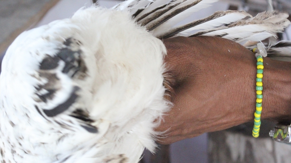 Babalao, The High Priest,  prepares the Sacrifice.