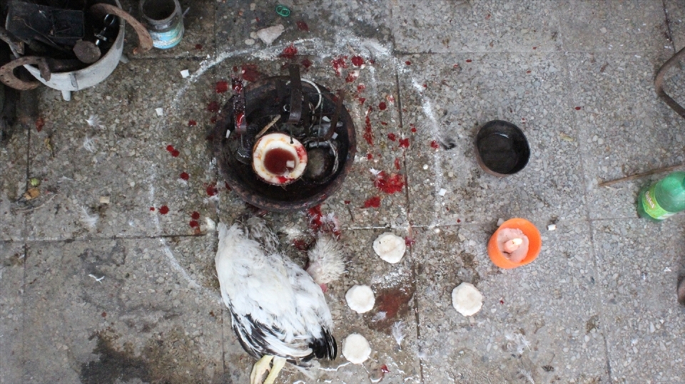 The sacrifice. The blood of a bird spilled to bring the guidance of Ire Aye - the Diety of Good Fortune. 