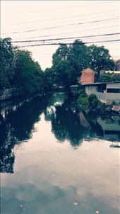 by justing, Views[153]